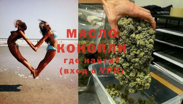 дмт Пересвет