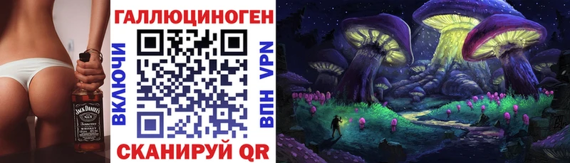 Псилоцибиновые грибы GOLDEN TEACHER  сайты даркнета телеграм  Аша  где продают  
